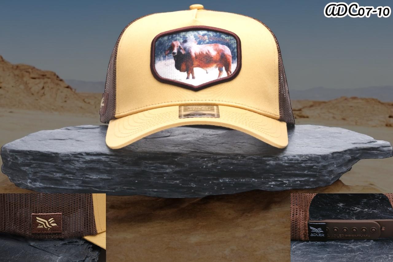 GORRA TORO PREMIUM