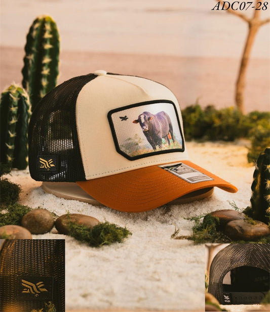 GORRA TORO PREMIUM