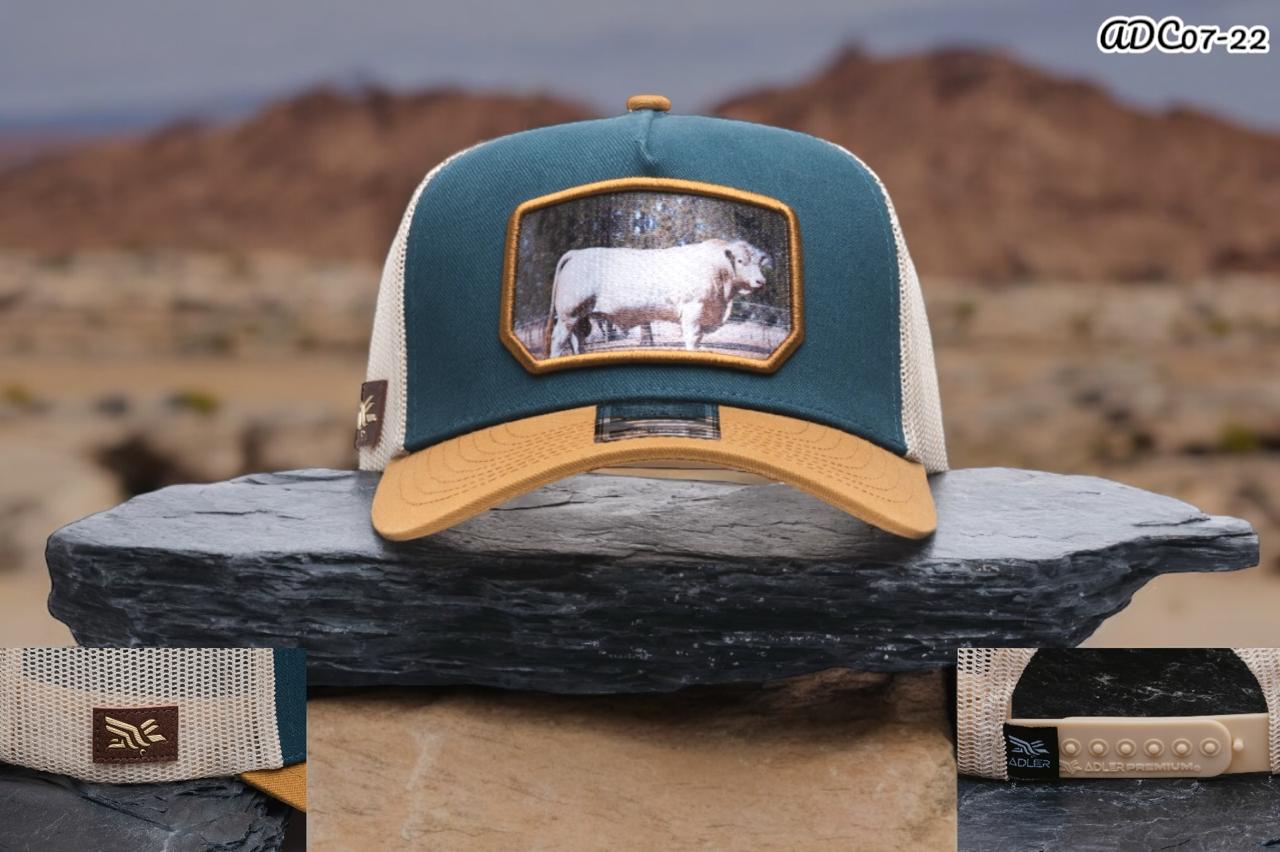 GORRA TORO PREMIUM